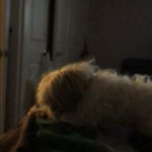 Meet your Posher, Jorge